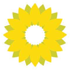 Flower Bloom Radial Pattern