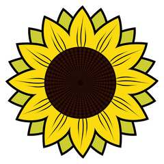 Flower Bloom Radial Pattern