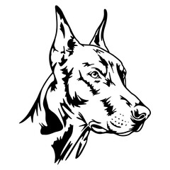 Doberman, black and white portrait. Pet, dog, home security. Stock vector illustration isolated on white background. Clipart