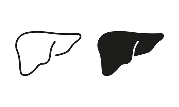 Hepatology Bilder Durchsuchen 3,123 Archivfotos, und