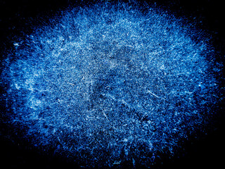 The transition from an exotic gray concrete wall to a captivating blue-black tone is beautifully depicted in this photograph, providing a background that conveys a sense of raw beauty.