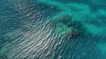 Bird's-eye view of the sea