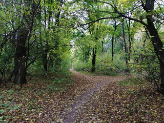 Autumn. Wallpaper. Photo print. A place to relax.