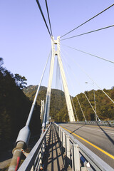 Cable-stayed bridge in the mountains