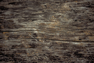 This photograph beautifully highlights the intricate and weathered surface of aged, brown wood.
