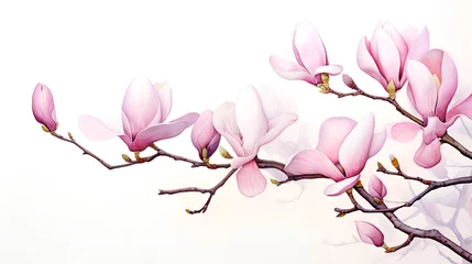 Foto op Canvas Spring floral background. Beautiful light pink magnolia flowers in soft light. Selective focus © Olivia