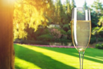 white wine chilled ice in glass at nature background