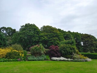 trees in the park