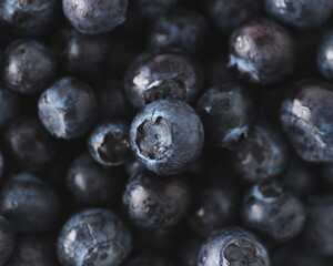 Macro Shot of a collection of frezh blueberries