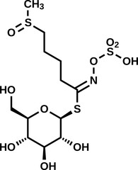 Glucoraphanin structural formula, vector illustration