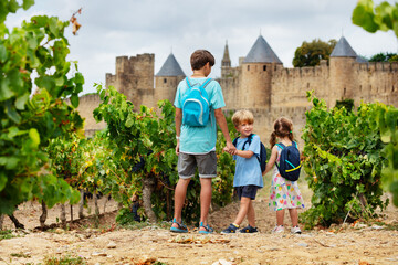 Small adventurers ready to visit Carcassonne enjoy panorama