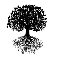 silhouette of tree