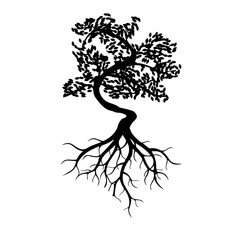 silhouette of a tree