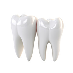 tooth isolated on transparent background Remove png, Clipping Path