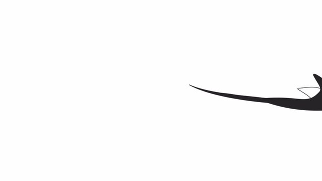 Swimming ray fish bw outline 2D character animation. Underwater stingray floating monochrome linear cartoon 4K video. Sting ray exotic fish flying animated aquatic animal isolated on white background
