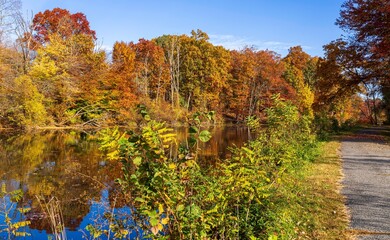 Fototapeta premium Fall foliage reflected in water near a trail