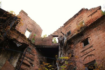 Asia's Timeless Architectural Marvel: A Low Angle Gaze