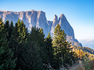 Herbstliches Panorama auf der Seiser Alm in den Dolomiten, Italien