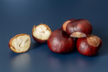 Chestnuts, fruits of the Horse Chestnut tree. Aesculus hippocastanum.
