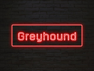 Greyhound のネオン文字