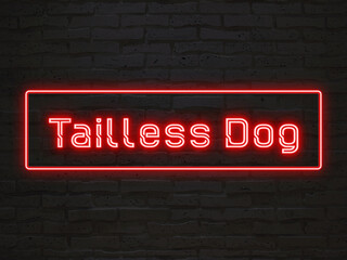 Tailless Dog のネオン文字