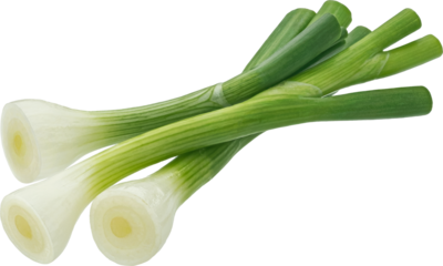 Green onion isolated