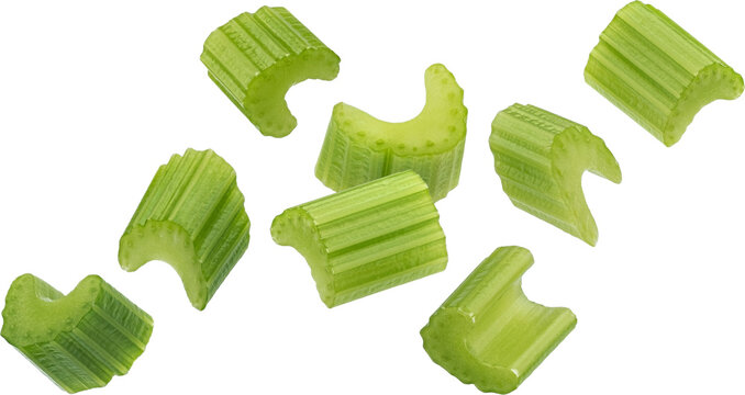 Chopped celery isolated