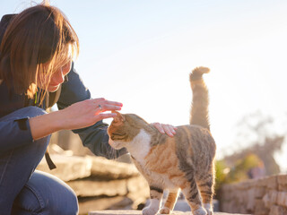 cats of Turkey, small resort town of Side with ancient Greek ruins. female tourist petting stray...