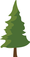 Pine tree illustration
