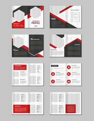 Company profile, multipage flyer brochure, portfolio magazine, annual report, catalog and a4 multipage template design