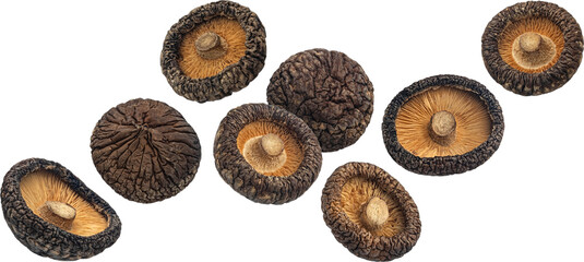 Dried shiitake mushrooms isolated