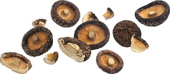 Dried shiitake mushrooms isolated