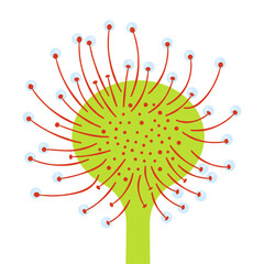 Cartoon sundews plant isolated on white background. Leaf of the round-leaved sundew. Drosera