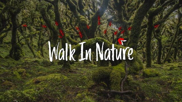 Walking in Nature Ants and Ladybugs Scribble Text Intro