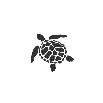 Turtle icon symbol. Premium quality isolated tortoise element in trendy style. Vector illustration