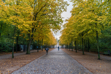 Naklejka premium Tiergarten Park view in Berlin