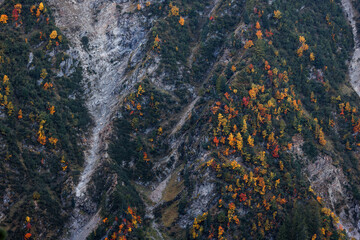 autumn forest on the slopes towards La Jonction in Chamonix