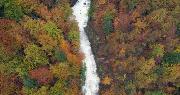 Slovenian Autumn Aerial River Serenity