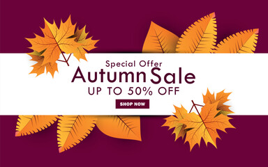 Beautiful Autumn leaves frame sale banner design