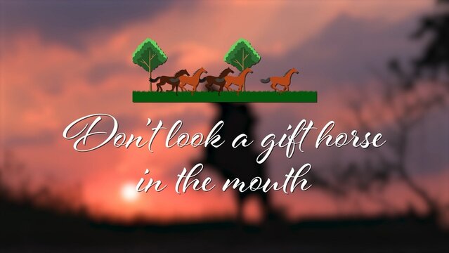 Animated Animals Quote Text Title Intro Horses Theme