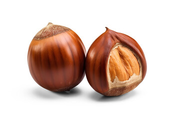 Hazelnuts isolated. Cut out on transparent
