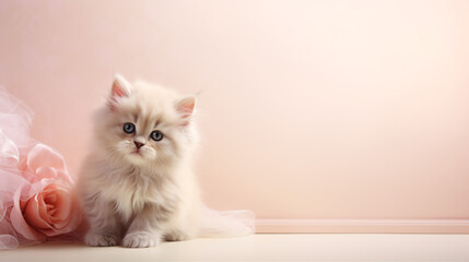 Cat-themed Background for Animal Enthusiasts and Pet Care Advocacy Materials.
