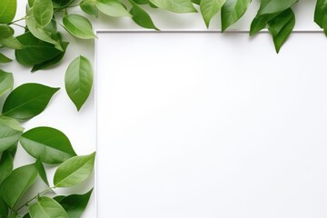 Obraz premium Creative layout composition frame of juicy green leaves