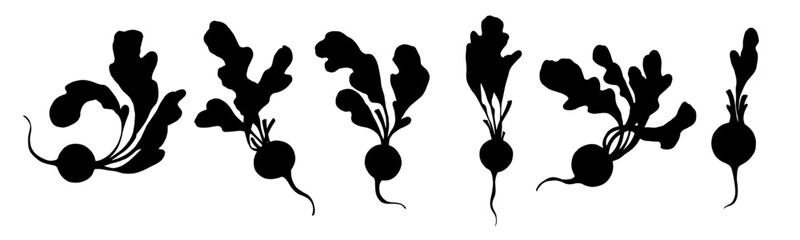 Set of silhouettes, doodles of radish root vegetables. Vector graphics.
