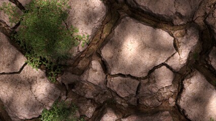 A dying plant in arid soil, the concept of drought. climate change and global warming. Environment, nature, earth. impact on agriculture, lack of water, lack of fresh water resources. 3d illustration