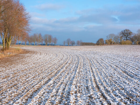 The melting of the snow on the fields in early spring.