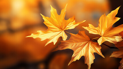 golden glowing maple leaf  made by gold floating and flying on white background, spark light, elegant light