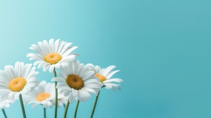  a bunch of daisies in a vase on a blue background.  generative ai