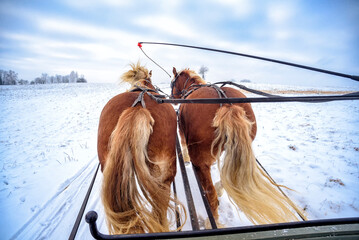 sleigh ride in Masuria