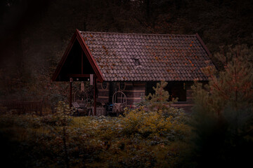 Hütte im Wald - obrazy, fototapety, plakaty
